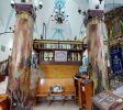Ari Ashkenazi Synagogue