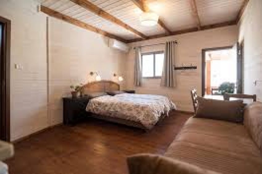 Myrtle the Turtle Guesthouse of Safed balabust 2