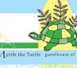 Myrtle the Turtle Guesthouse of Safed balabust 6