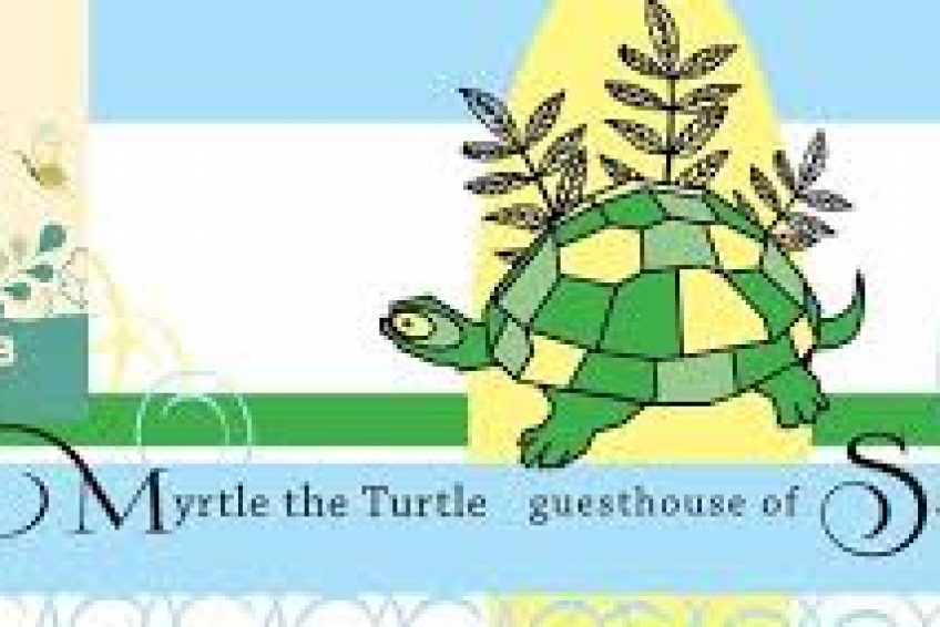 Myrtle the Turtle Guesthouse of Safed balabust 6