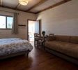 Myrtle the Turtle Guesthouse of Safed balabust 7