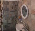 Myrtle the Turtle Guesthouse of Safed balabust 8