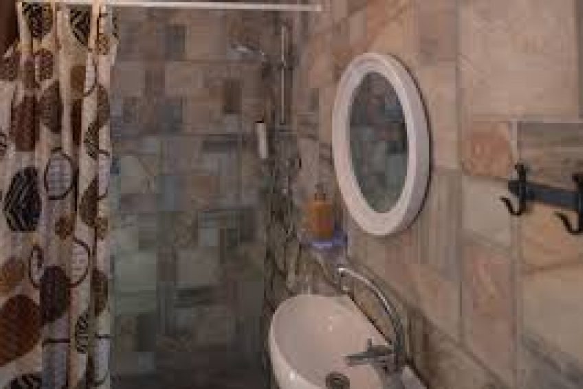 Myrtle the Turtle Guesthouse of Safed balabust 8