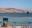 Daria Resort Hotel Tiberias Tveria Balabust 7