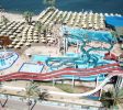 Guy Beach WATER PARK Sea of Galilee Tiberias Balabust 30 scaled