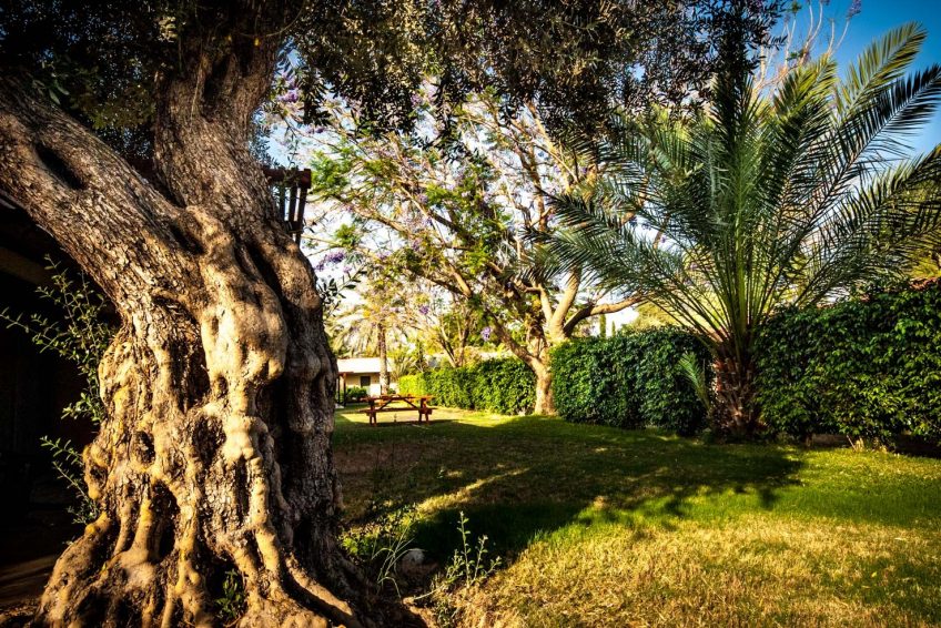Kinar Galilee Hotel Tiberias Tveria Balbust 13