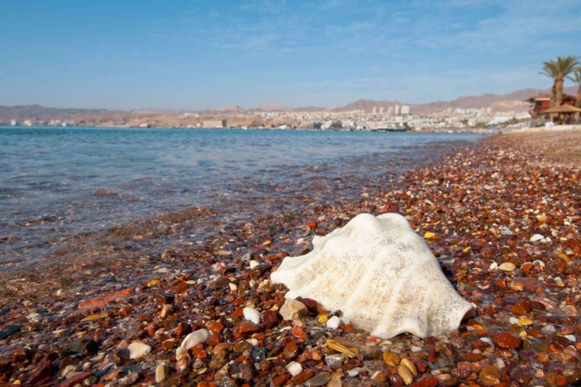 Leonardo Plaza Eilat Hotel Balabust 14 scaled