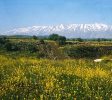 Mount Hermon Ski Resort Balabust 7