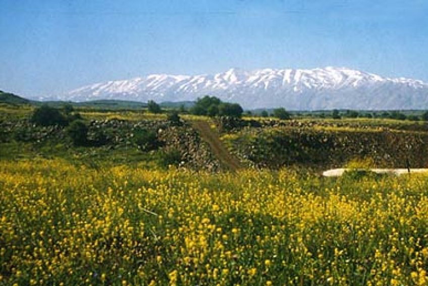 Mount Hermon Ski Resort Balabust 7