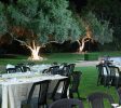 Nir Etzion Hotel Mount Carmel Balabust 21
