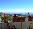 Palacio Domain safet balabust 22