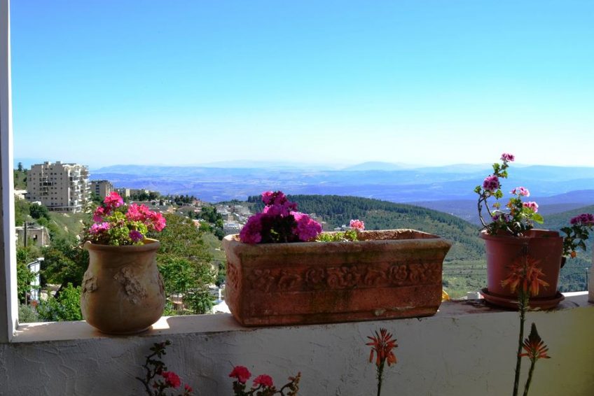 Palacio Domain safet balabust 22