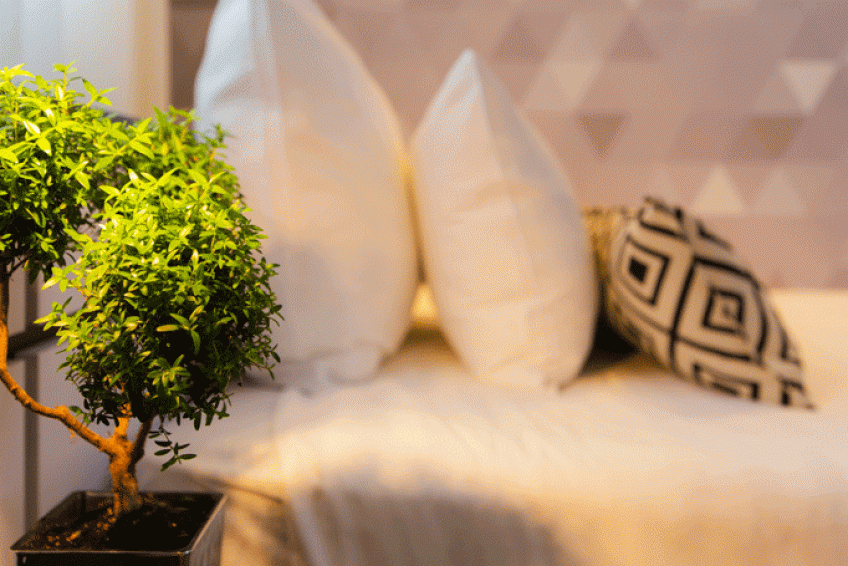 Prima Hotel Tel Aviv Balabust 42