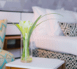 Prima Hotel Tel Aviv Balabust 44