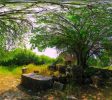 Jael & Heber the Kenite Tomb