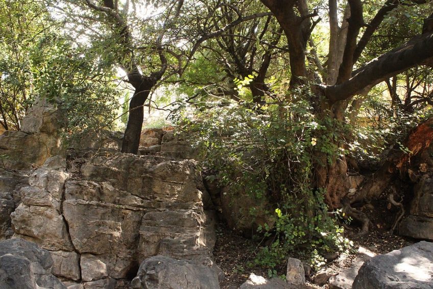 Rabi Shim’on Bar Yokhai Rashbi Cave