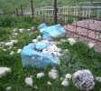 Tomb of Asher ben Yaakov