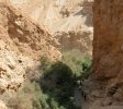 En Gedi Nature Reserve