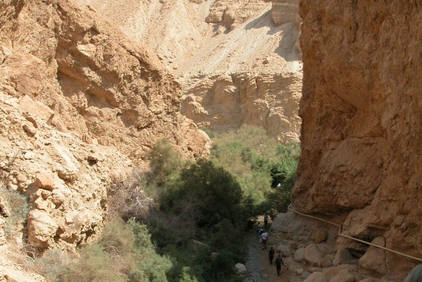 En Gedi Nature Reserve