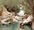 En Gedi Nature Reserve