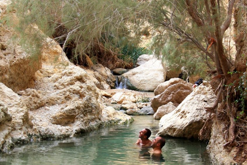 En Gedi Nature Reserve