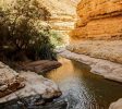 En Gedi Nature Reserve
