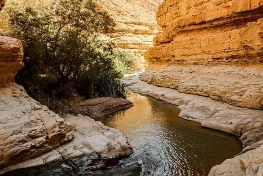 En Gedi Nature Reserve