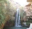En Gedi Nature Reserve