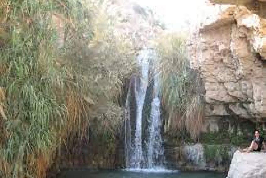 En Gedi Nature Reserve