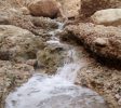En Gedi Nature Reserve