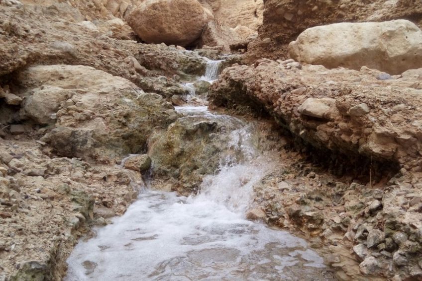 En Gedi Nature Reserve