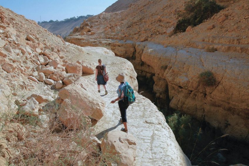 En Gedi Nature Reserve