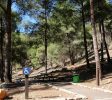 Mount Yavnit Birya forest