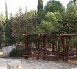 Mount Yavnit Birya forest