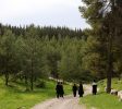 Mount Yavnit Birya forest