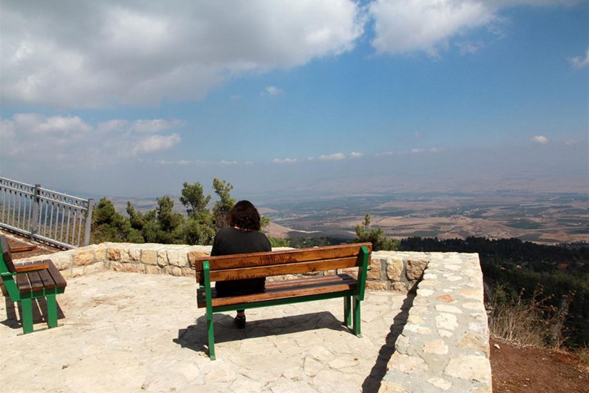 Mount Yavnit Birya forest