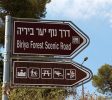 Mount Yavnit Birya forest