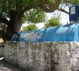 Rabbi Tarpon Tomb