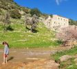 Tzippori ancient city