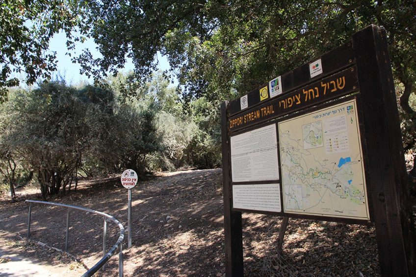 Tzippori ancient city