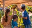 City of David Tour Jerusalem
