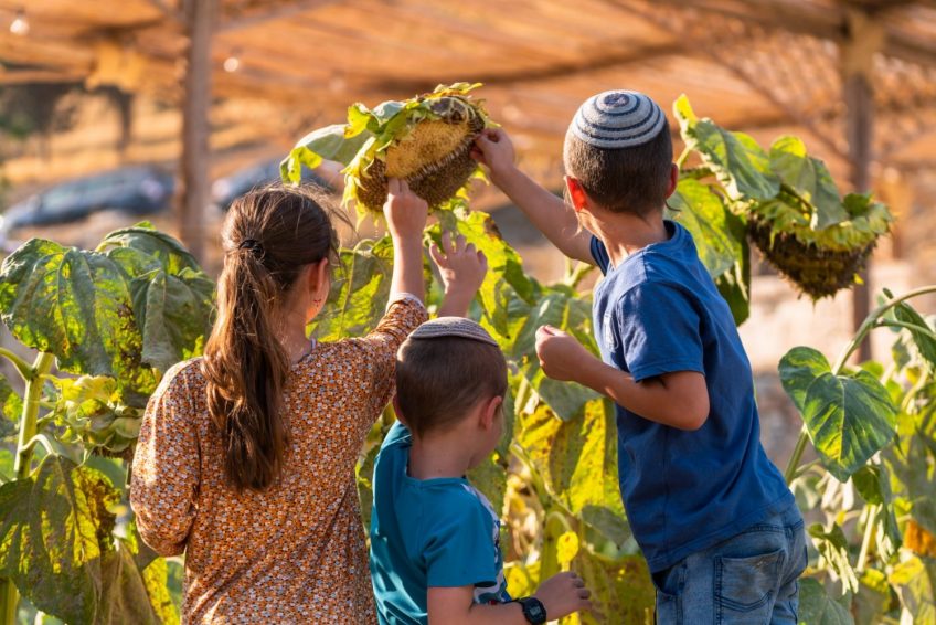 City of David Tour Jerusalem