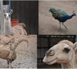 Deer Land Farm