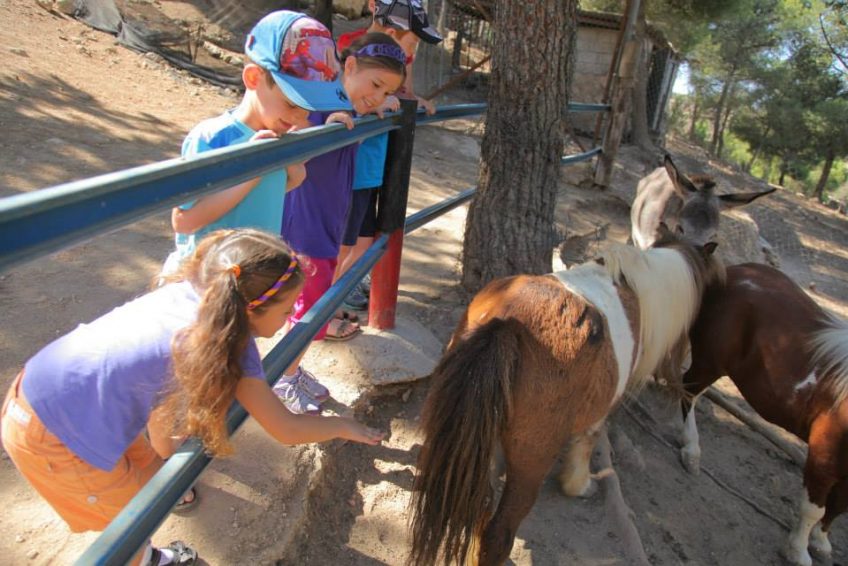 Deer Land Farm