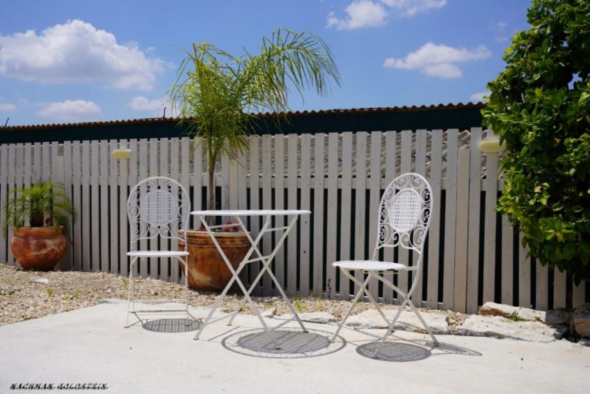 Dream in the Moshav