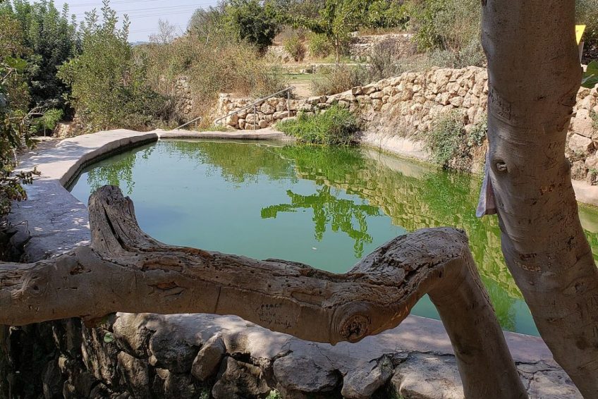 Ein Lavan spring