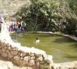 Ein Lavan spring