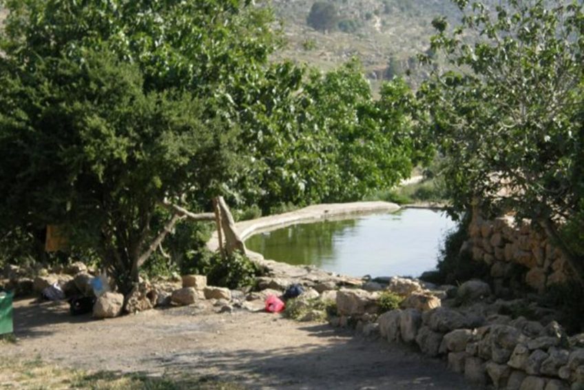 Ein Lavan spring