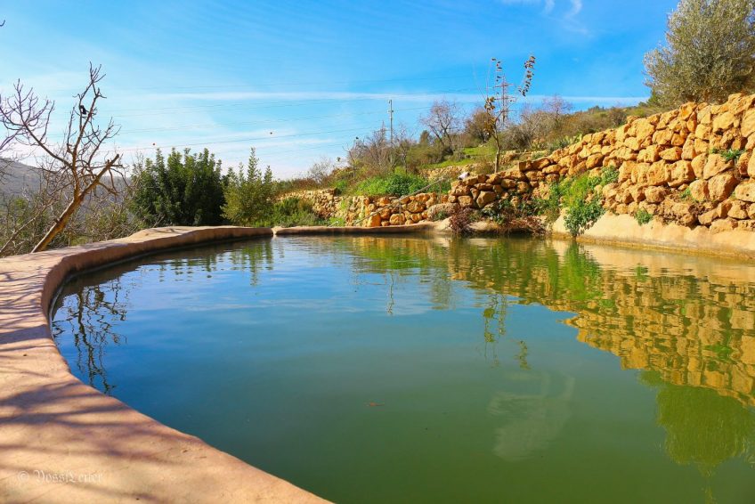 Ein Lavan spring