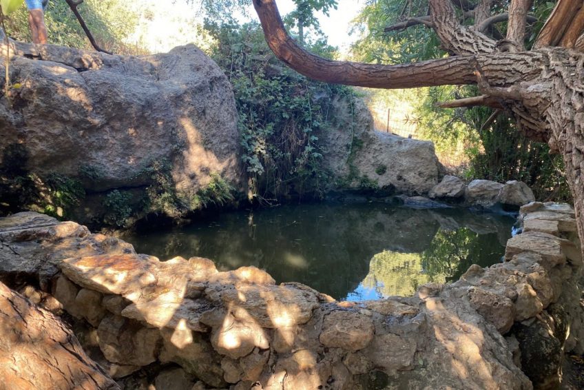 Ein Sarig Spring